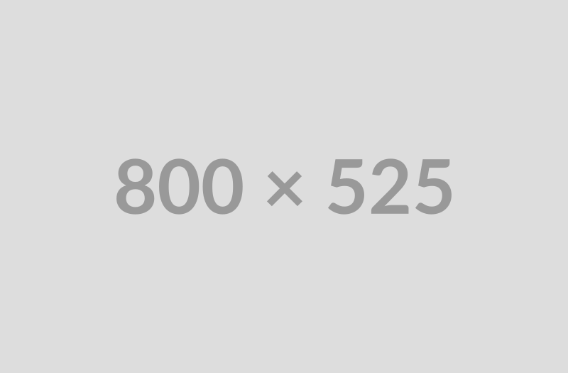 pl-800x525